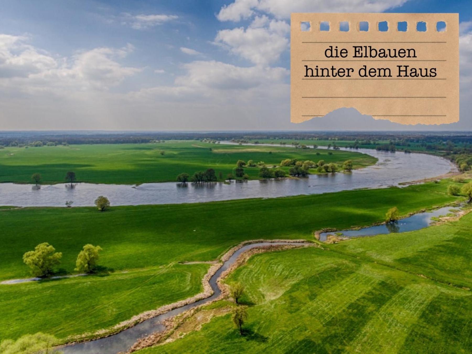Alte Schule Wittenberg, 3 Ferienwohnungen Fuer Bis Zu 12 Personen, An Der Elbe, Mit Garten Zewnętrze zdjęcie