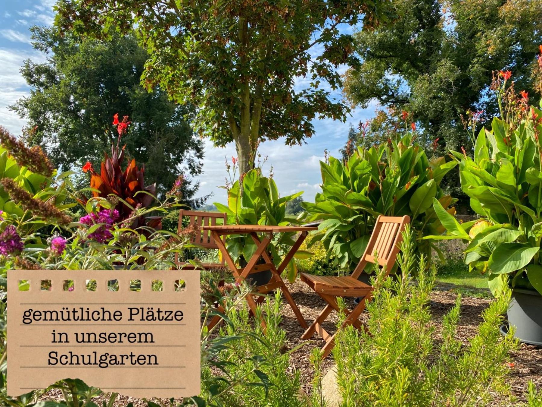 Alte Schule Wittenberg, 3 Ferienwohnungen Fuer Bis Zu 12 Personen, An Der Elbe, Mit Garten Zewnętrze zdjęcie