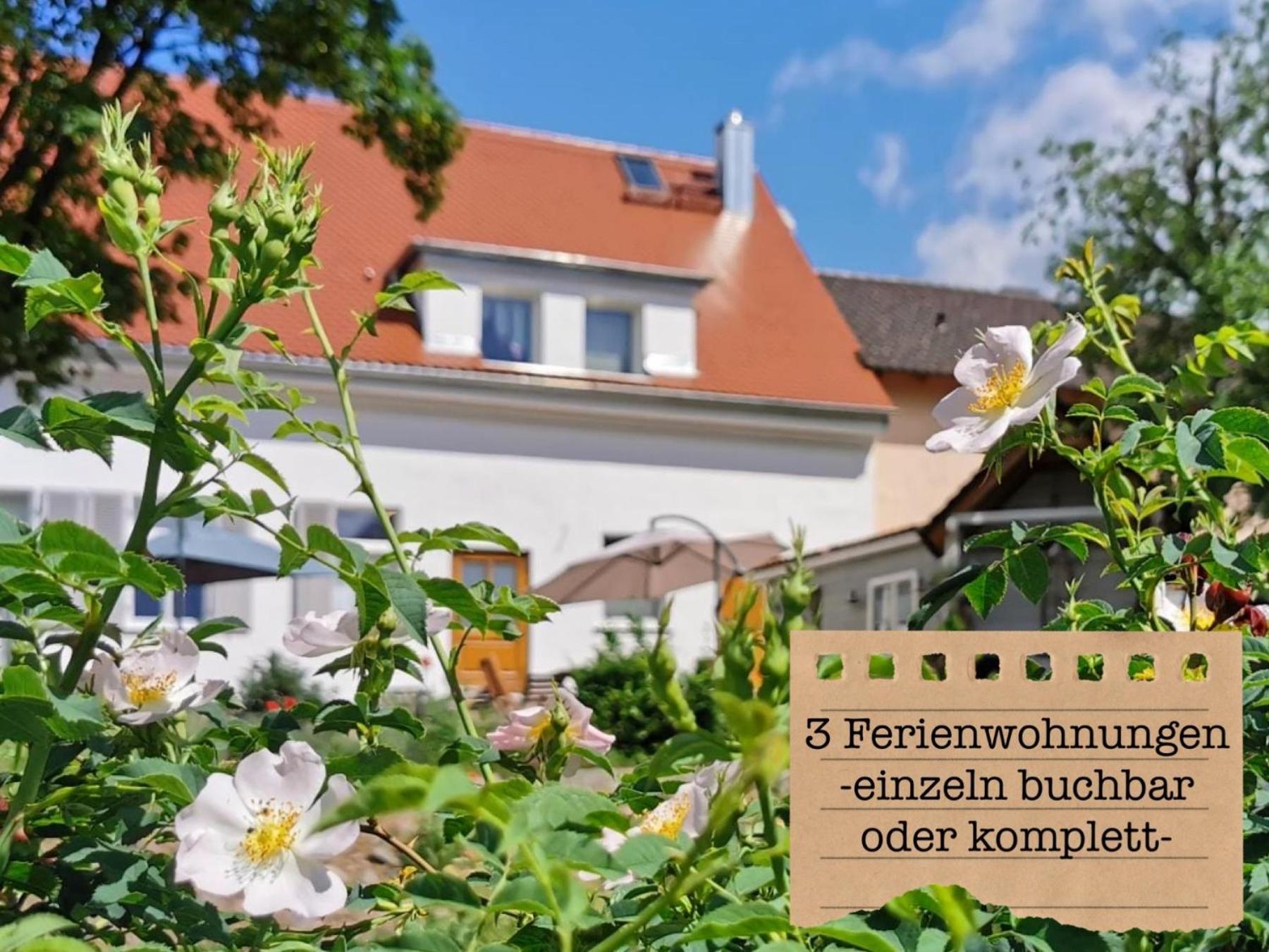 Alte Schule Wittenberg, 3 Ferienwohnungen Fuer Bis Zu 12 Personen, An Der Elbe, Mit Garten Zewnętrze zdjęcie