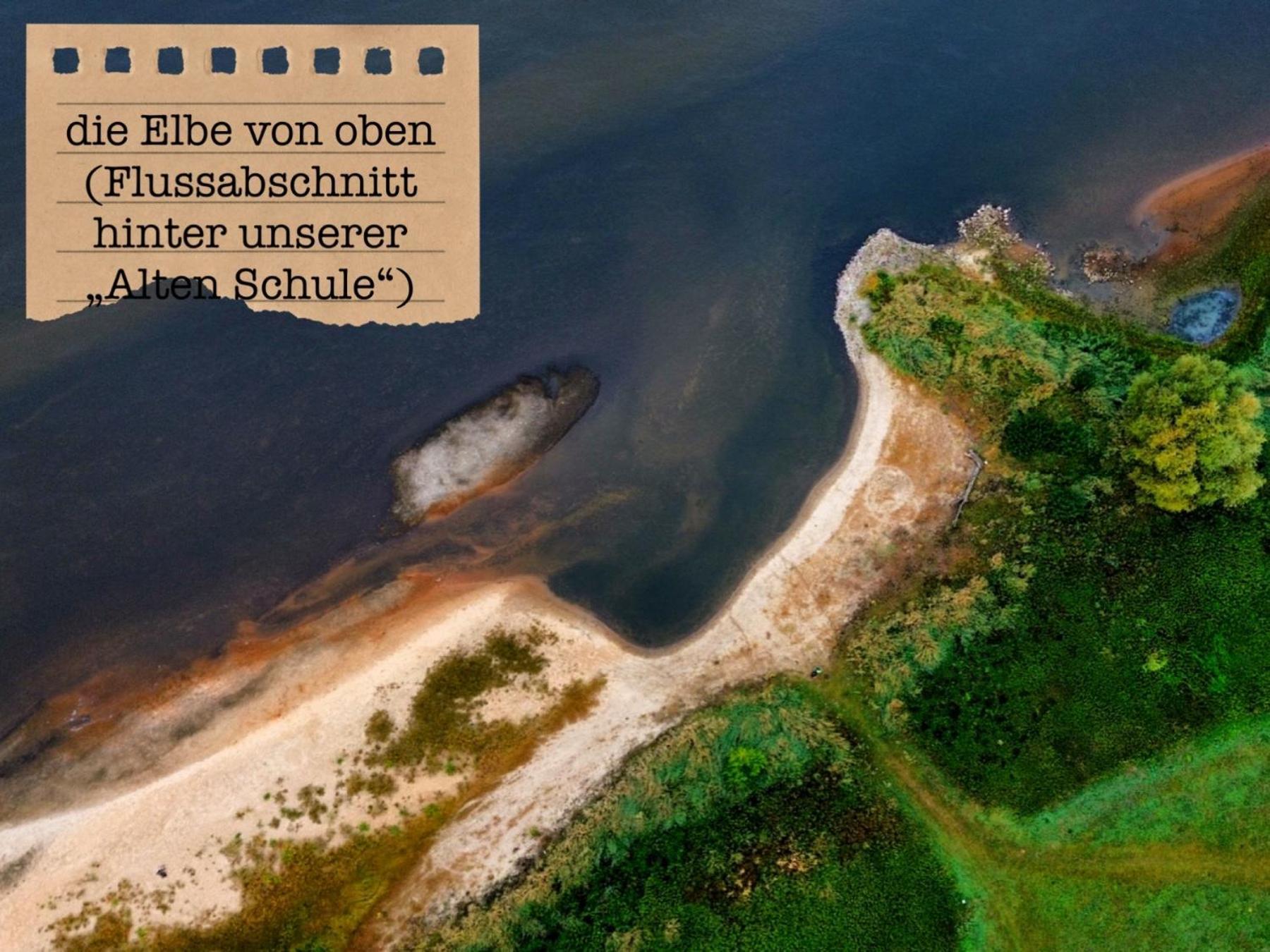 Alte Schule Wittenberg, 3 Ferienwohnungen Fuer Bis Zu 12 Personen, An Der Elbe, Mit Garten Zewnętrze zdjęcie